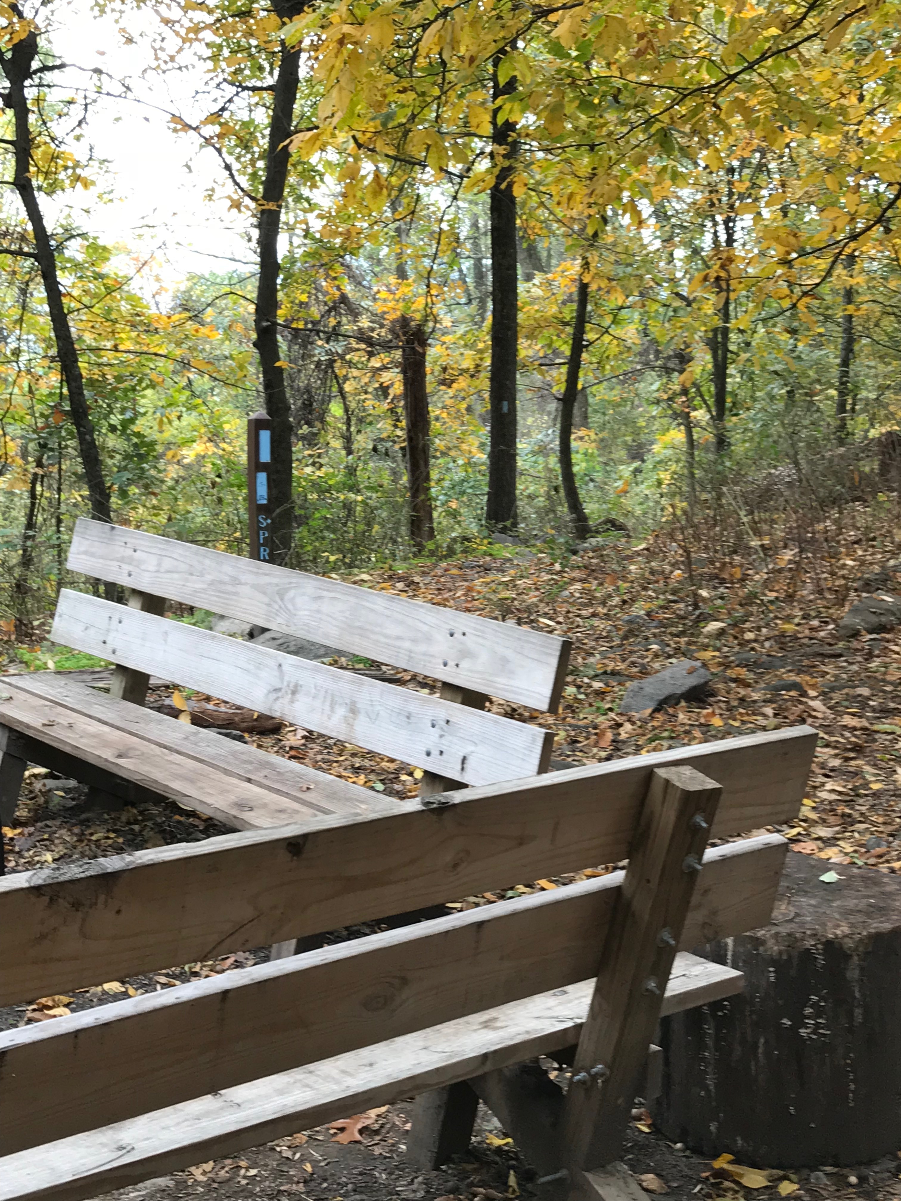 path to spring   path to spring