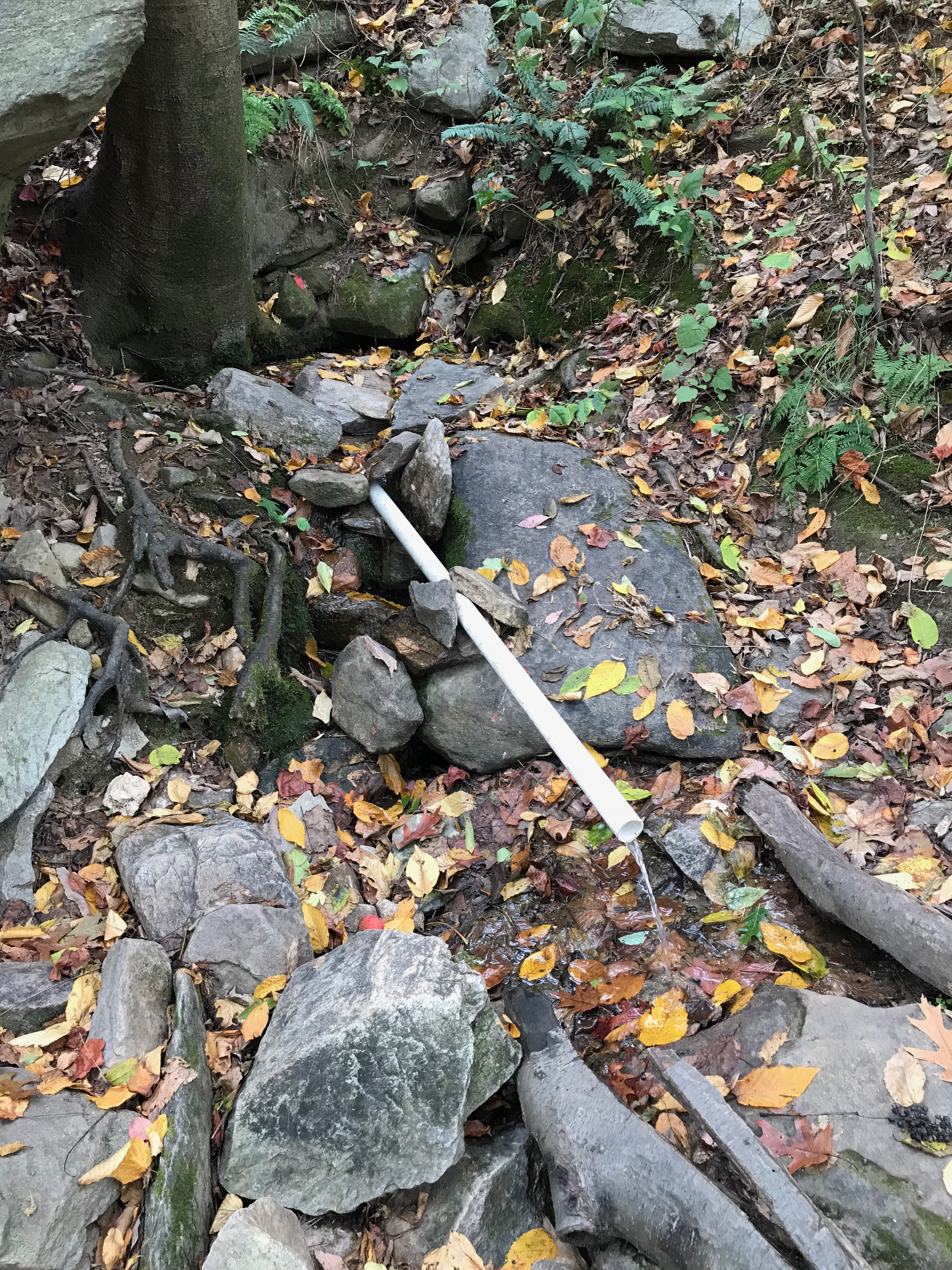 the spring   the spring