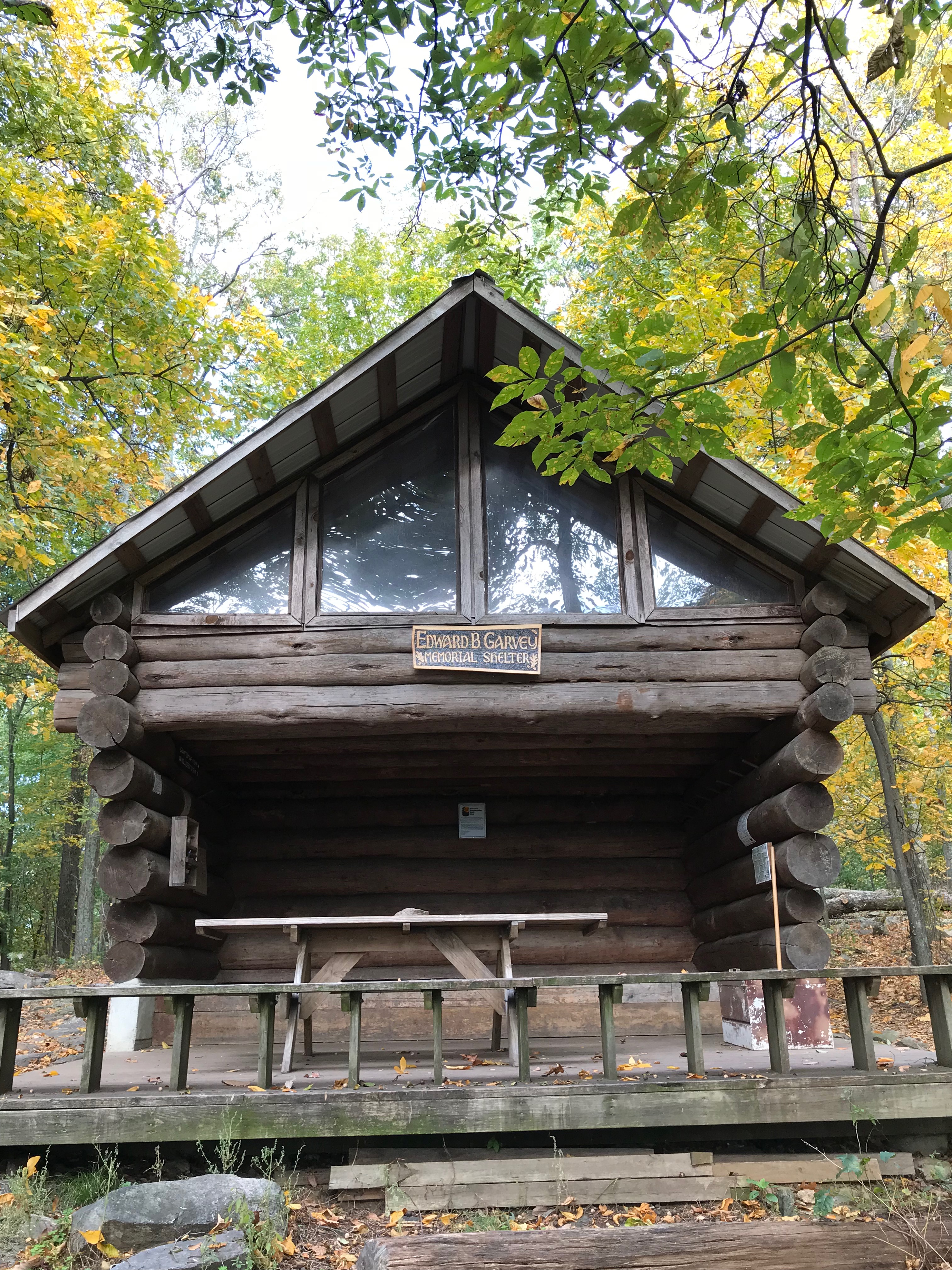 the shelter   the shelter