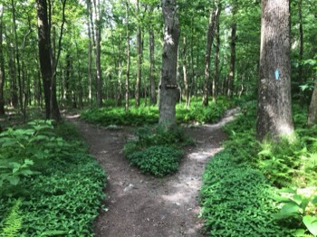  shelter turnoff 