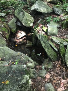  smaller spring 