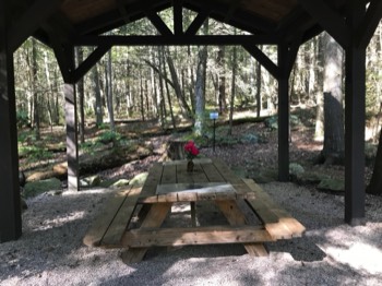  Covered picnic table 