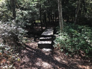  Footbridge over Birch Run 