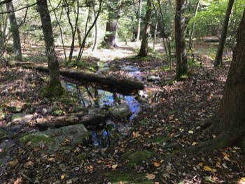  Birch Run (water source for this shelter) 