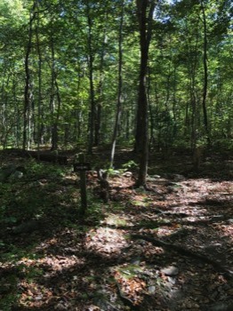  Trail to spring 