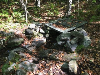  The spring 