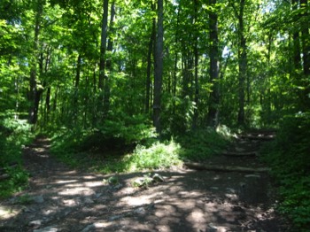  turnoff to shelter 