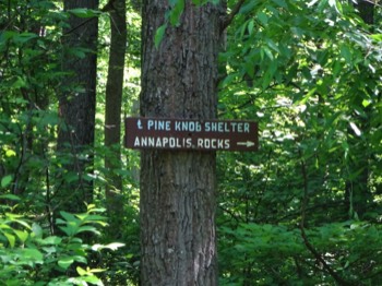  sign detail 