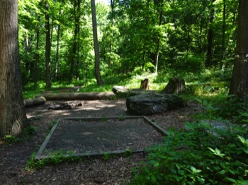  tenting space along path to shelter 
