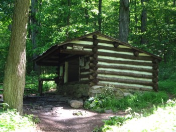  the shelter 