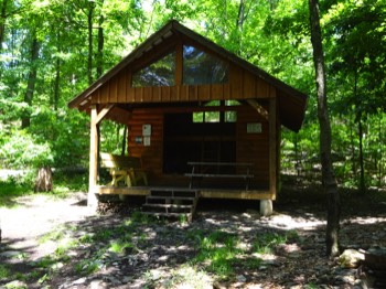  The (new) shelter 