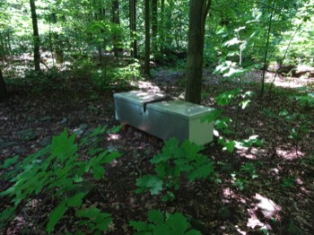 bear box 