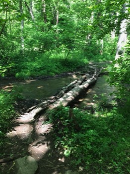  Mud and stream crossing to shelter 