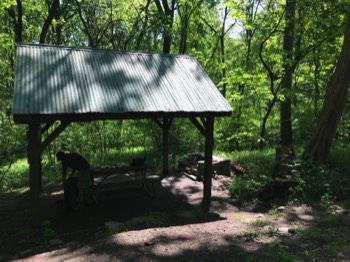  Covered table and fire pit 