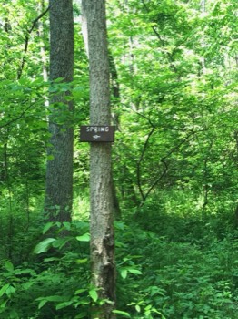  Trail to spring 