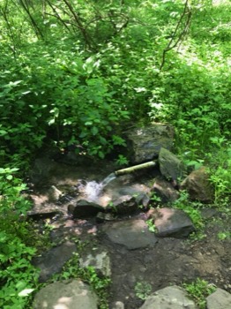  Gushing piped spring 