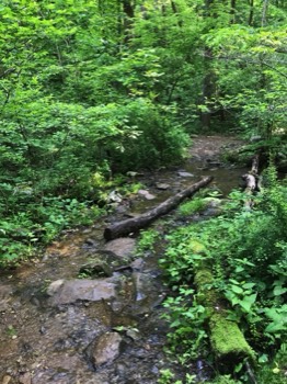  First stream crossing 