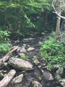  Second stream crossing 