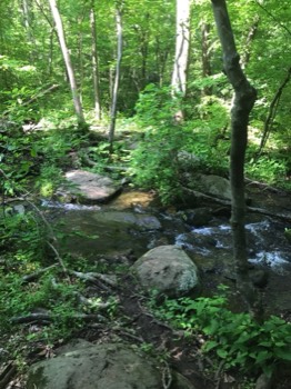  Fourth stream crossing 