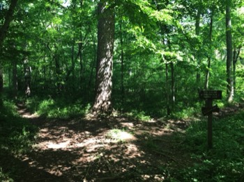  Turnoff to shelter 