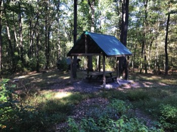  Covered picnic table 