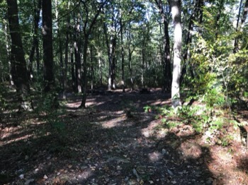  more picnic tables 